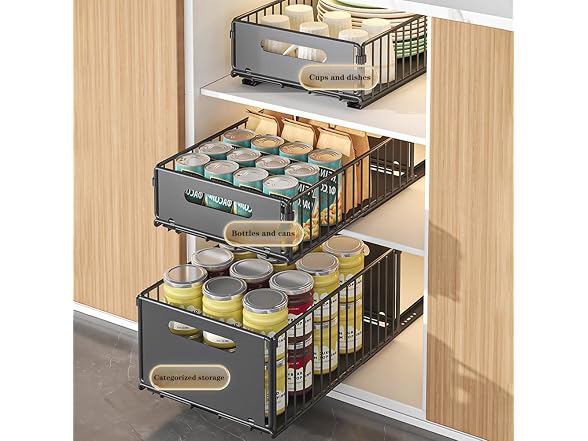 dainslef Pull Out Cabinet Organizer