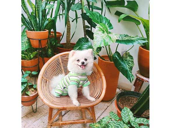 Dog Pajamas, Dog Jumpsuit 4 Legged Pajamas w