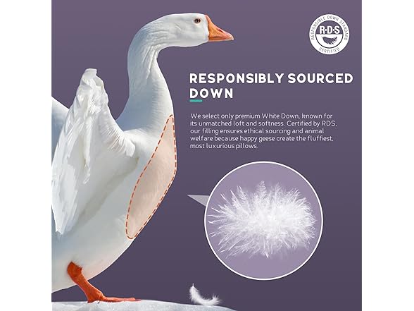 PlushHavenCloud White Goose Down Pillow