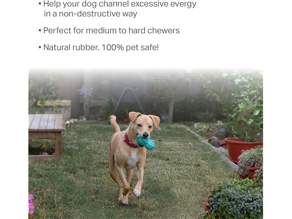 Friends Forever Squeaky Dog Toys with Tennis Ball