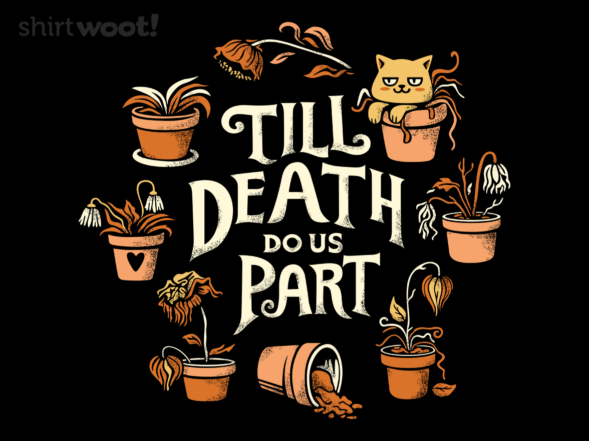 Plant Killer Love - Gallery 9