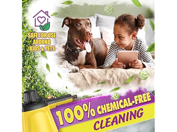 STMWORLD Deep Cleaning Steam Cleaner