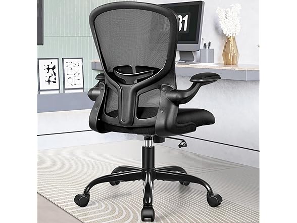 FelixKing W0893 office chair 1 (Open Box)