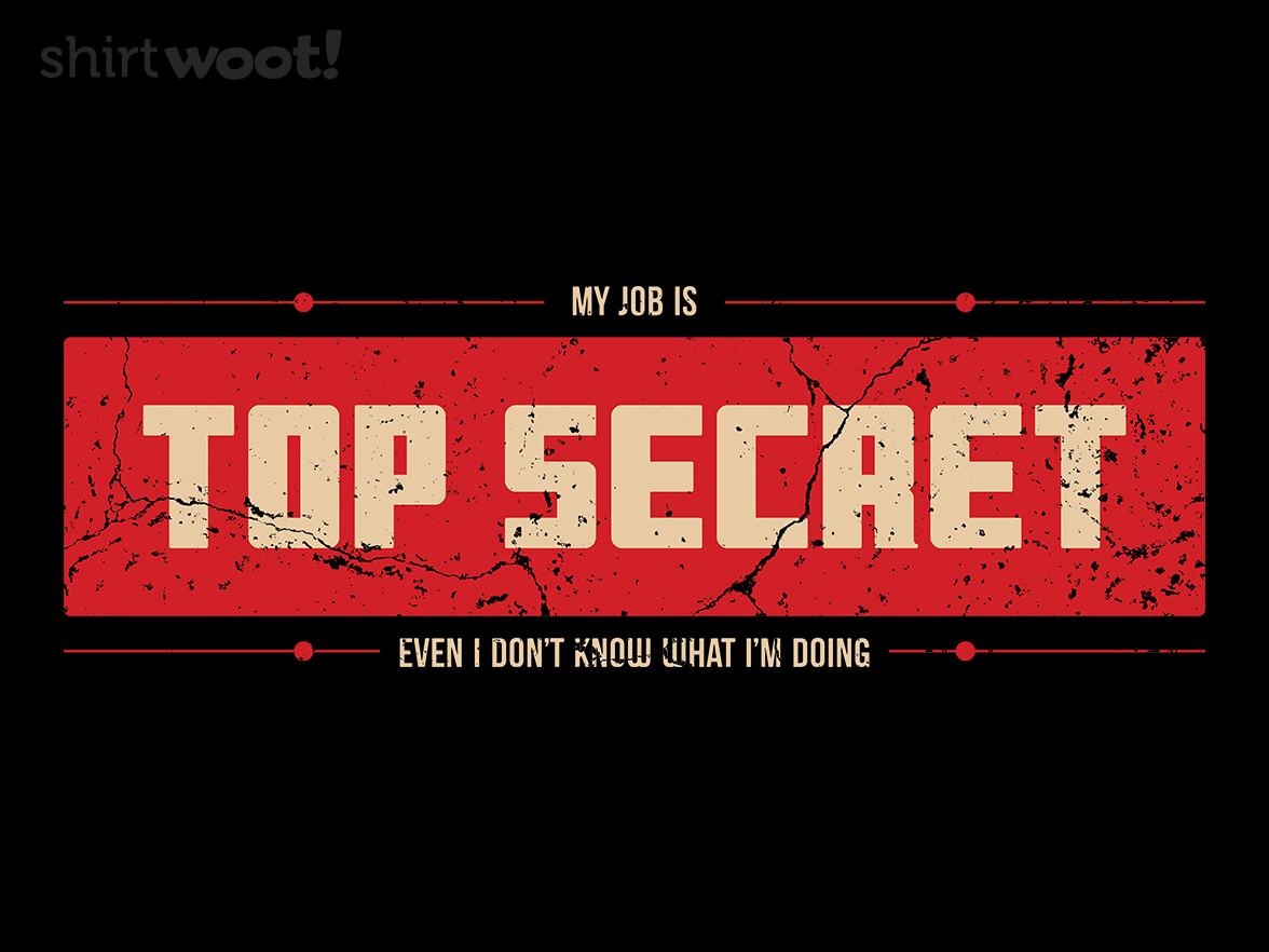 Top Secret Job - Gallery 9