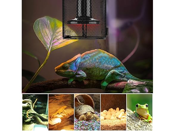 Simple Deluxe Reptile Heat Lamp Cage Hea