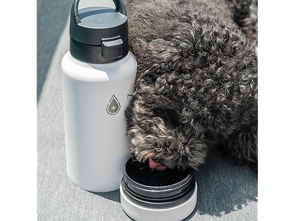 26oz Sports Insulated Water Bottle
