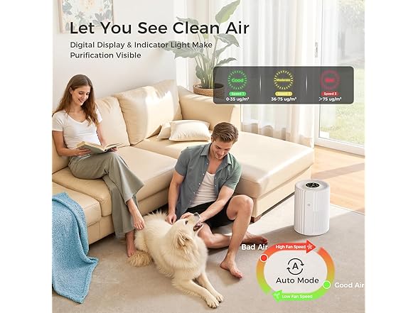 Air Purifiers with Air Quality Display