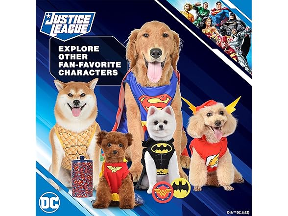 DC Comics Superhero Aquaman Halloween Dog Costume