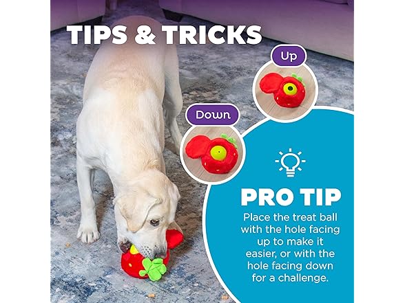 Outward Hound by Nina Ottosson Fruity Findz