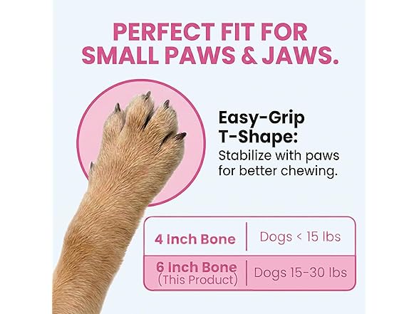 SPOT Bam-Bones Puppy T-Bone Dog Chew Toy