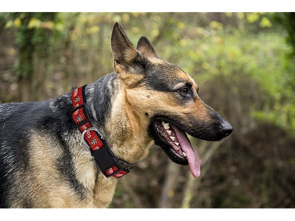 Pets First NHL Collar for Dogs & Cats. Adjus