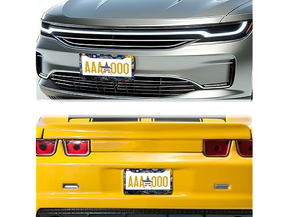 License Plate Frame Starry Night 2Pk