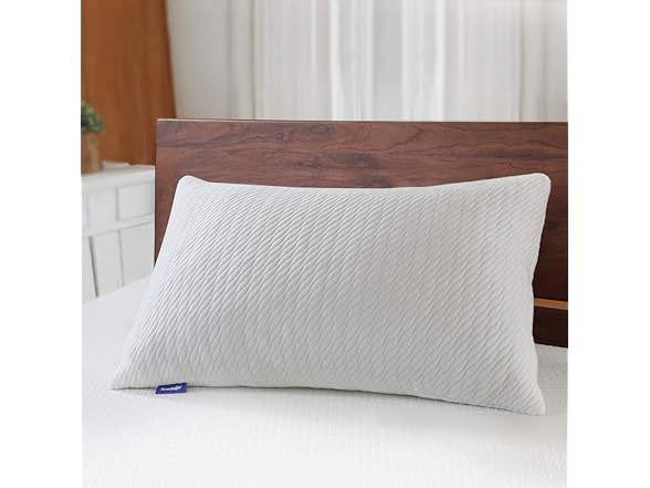 Sweetnight King Size Bamboo Pillow