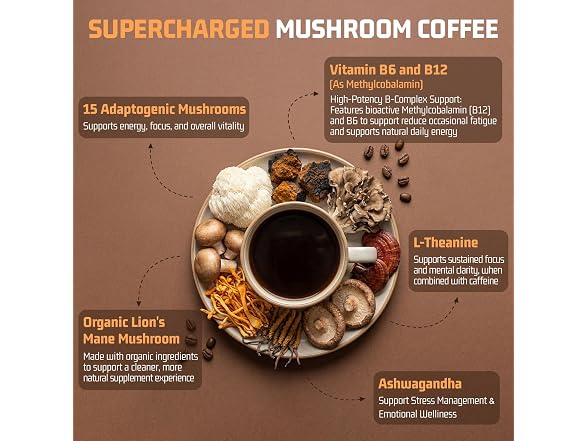 15 In 1 Mushroom Coffee Powder