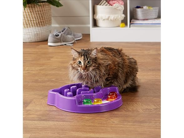 Amazon Basics Pet Activity Center and Feeder, Purple