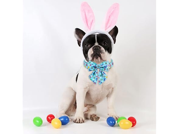 ARING PET Easter Dog Collar-Cute Easter Eggs