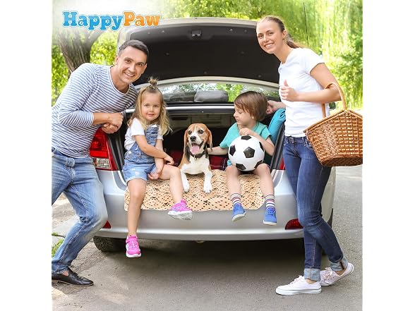 Pet Playpen,Puppy Playpen Transparent Small A