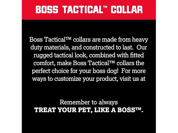 Boss Dog Tactical Collar, Blue, Medium