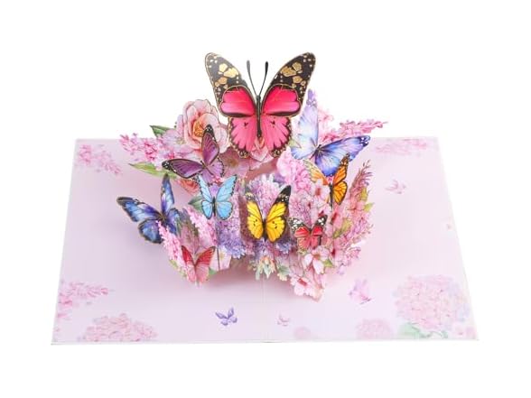 Iskueal 3D Butterfly Greeting Cards