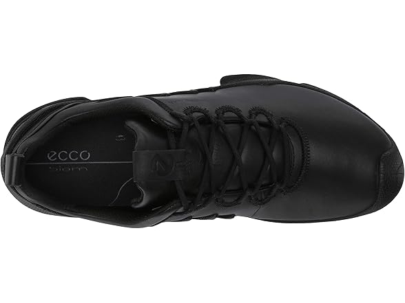 Ecco Biom Aex Men's Shoe