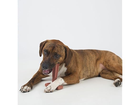 SPOT Bam-Bones Plus Coffee Wood T-Bone Dog Chew Toy, Beef
