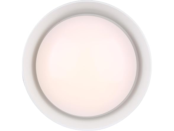 Canarm Nova LED Flush Mount Ceiling Light