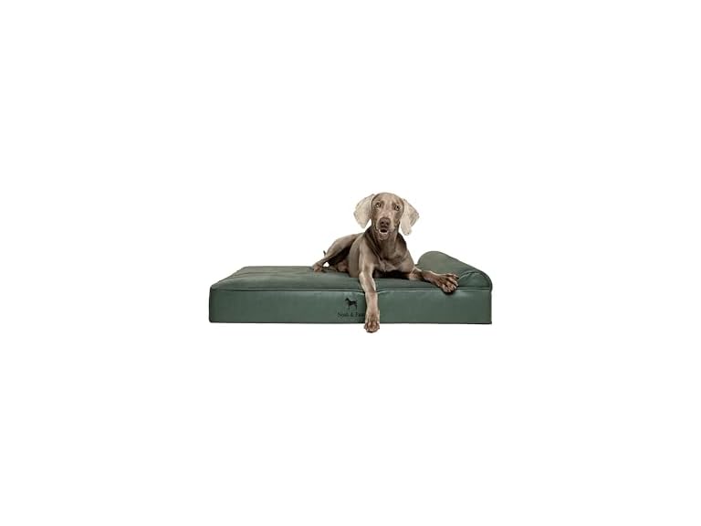 NOAH & PAW CL-LE-GR-XL XL NOAH & PAW Dog Bed - Classi