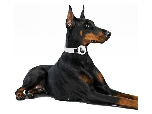 SaharaCase Silicone Dog Collar for Apple AirTag
