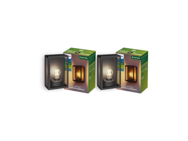 PHILIPS Alzor Outdoor Wall Light, E26 LED Bulb Included, 2 Lights