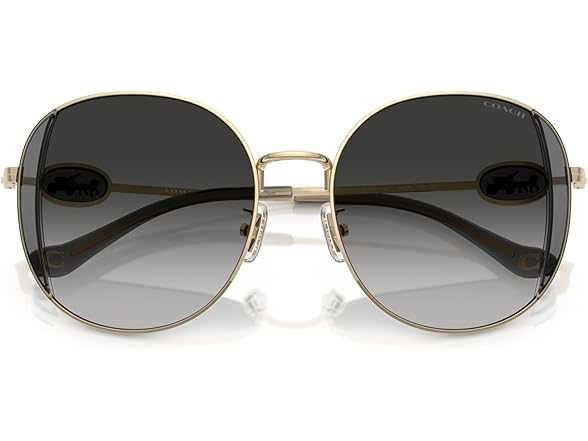 COACH Women's Sunglasses HC 7176 B