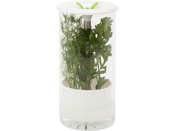 Honey-Can-Do Glass Herb Preserver