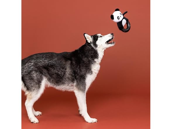 Fringe Studio Rubber Dog Toy, STU-Panda-OUS!