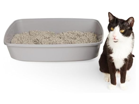 So Phresh by Petco Open Cat Litter Box Grey X