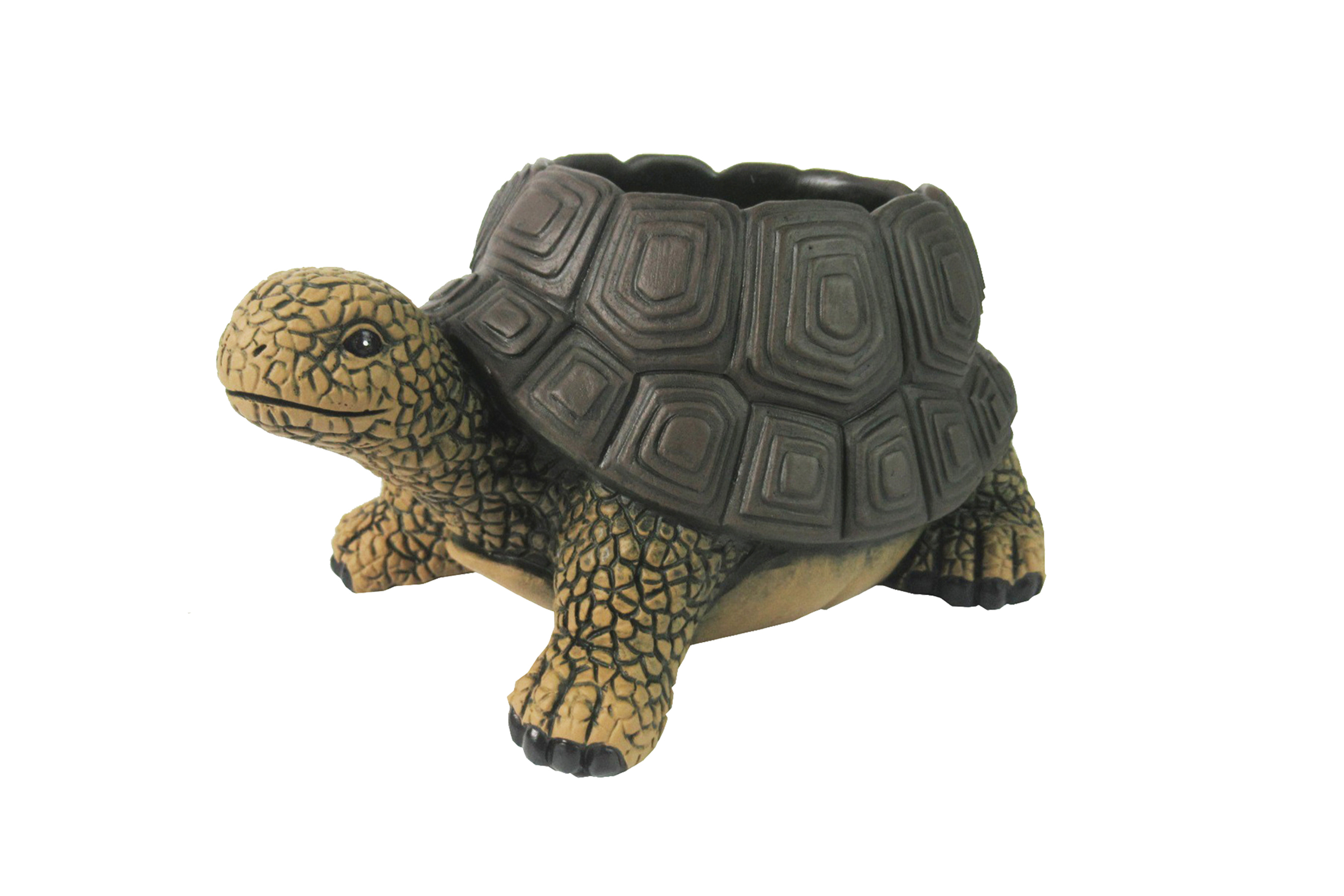 9.3" Cement Turtle Planter - Gallery 2