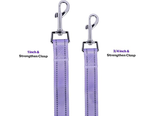 TRUKSPET 5FT Reflective Dog Leash