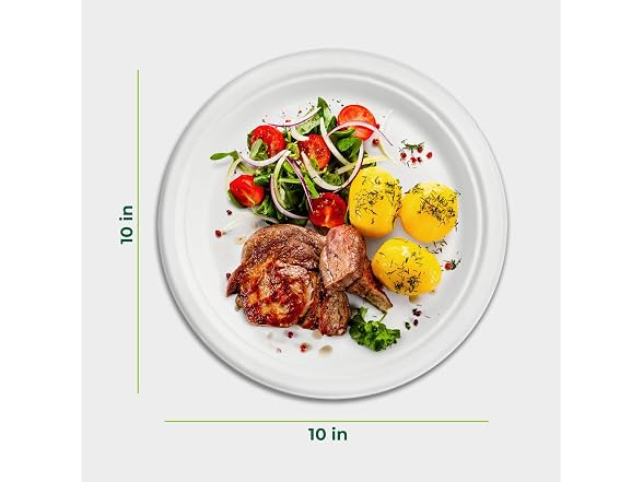 Freshware Paper Plates - Disposable 10" Plate