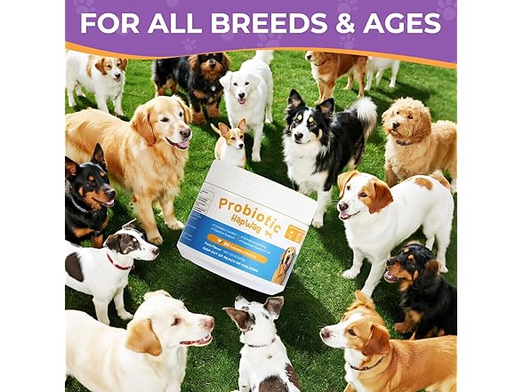 HAPWAG Dog Allergy and Immune Relief Chews