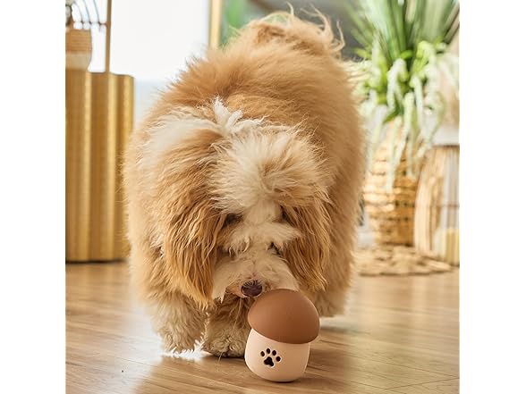SPOT Treat Tumbler Mushroom – Freezable & Fillable