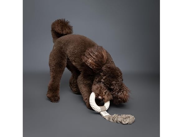 NOAH & PAW Luxury Dog Toy, TPU- Tug Ring, Beige