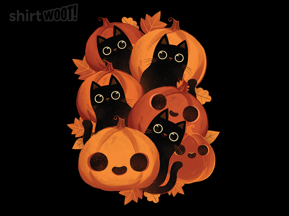 Pumpkins and Black Kitties!