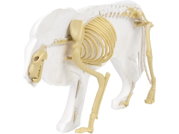 Rhode Island Novelty Augmented Reality Lion Dig Figure