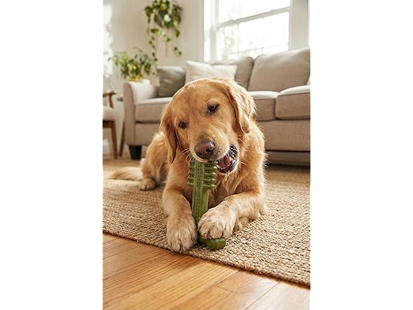 SPOT Bam-Bones Plus Toothbrush Dog Chew Toy