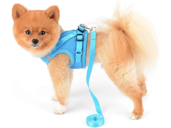 SMALLLEE_LUCKY_STORE Comfort Puppy Harness