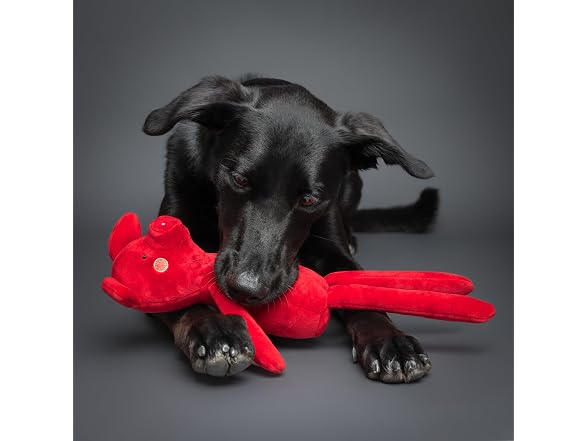 Noah & Paw Luxury dog toy, Stuffed Pig