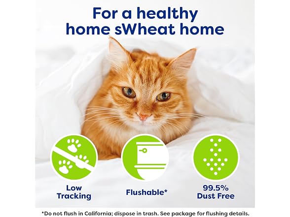 sWheat Scoop Natural Wheat Multi-Cat Litter