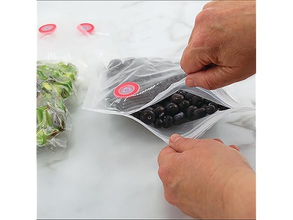 NESCO Handheld Vacuum Sealer Kit
