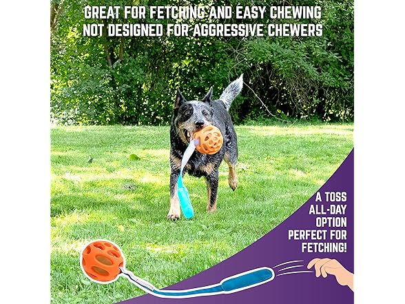 Chew King Chew King Ball Launcher - 2.5" Balls, Ball La