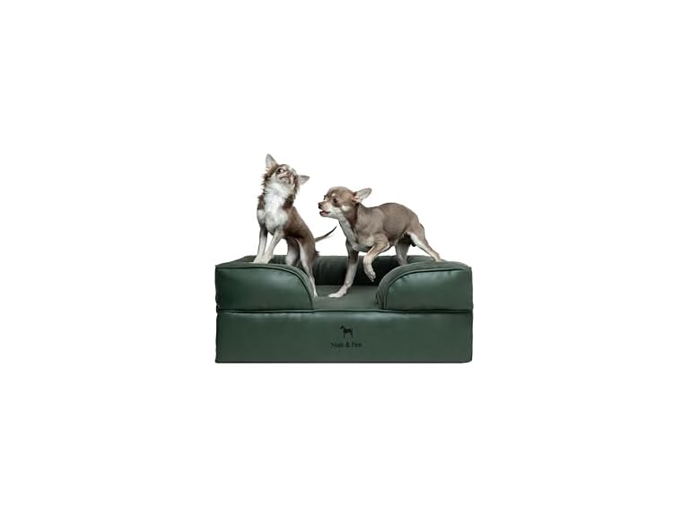 NOAH & PAW SO-LE-GR-M M NOAH & PAW Dog Bed - Sofa Gr
