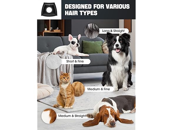 Dog Hair Remover for Car, Pet Hair Removal Tool