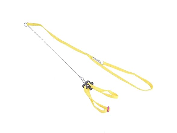 Bird Flying Rope, Bird Anti bite Outdoor Fly
